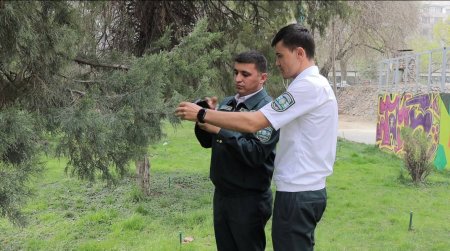 “Dolzarb 30 kunlik” nazorat tadbirlari davom etmoqda