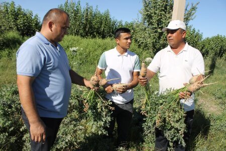 ”Bir kontur – bir mahsulot”: ham hosil, ham daromad