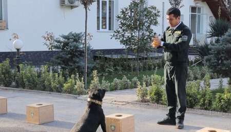 Toshkentda kinologlar uchun sinov mashqlari o‘tkazildi